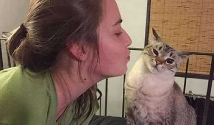 15 Cats Who Can't Stand Your Kisses