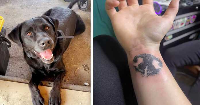 She honored her dead dog with the sweetest tattoo ever. “Thank you for these wonderful 6 years”