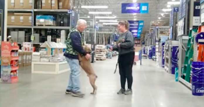 A touching moment when a dog is adopted in the middle of a DIY store