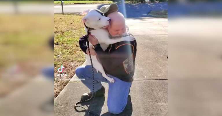 A shelter dog meets his new dad for the first time and cannot stop hugging him