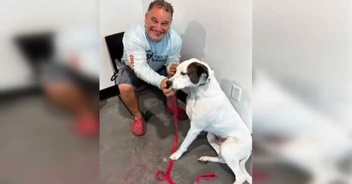 A deaf dog, abandoned by his family, is adopted by a man who is also deaf