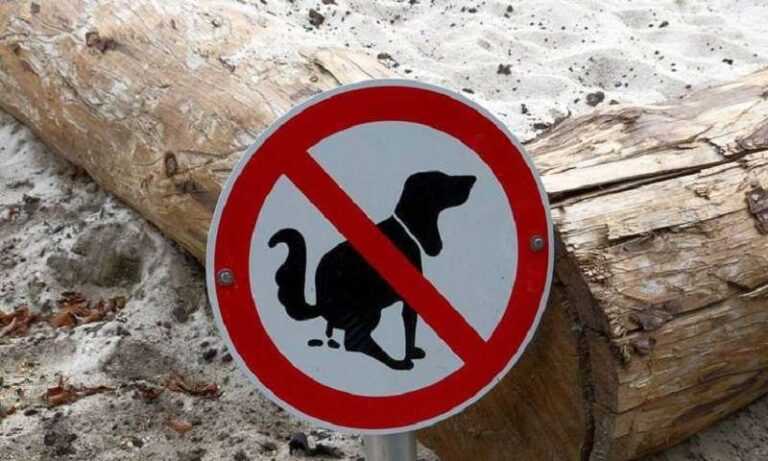 Don't clean up after your dog's feces? Now you will be found on the other side of the country.