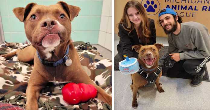 The dog, who has been waiting for home for 279 days, is excited about his first family photo