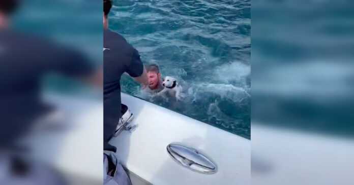 Sailors find a lone dog in the middle of the ocean. “Life Flashed Before His Eyes”