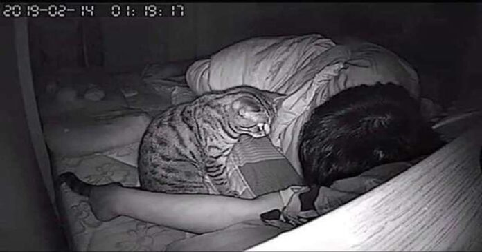 He left the camera on overnight to see what his cat was doing while he was asleep