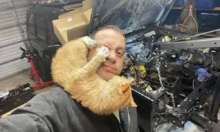 A man fixes a jeep in his garage and sees a cat, but it's not his cat