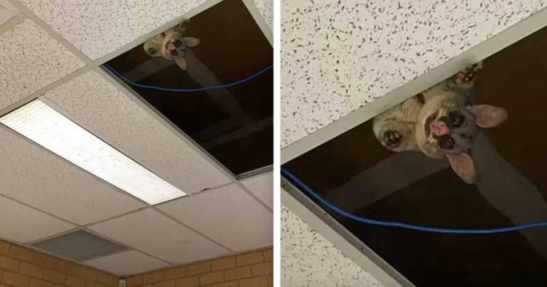 During her lectures, the student looks up and realizes that she is being watched