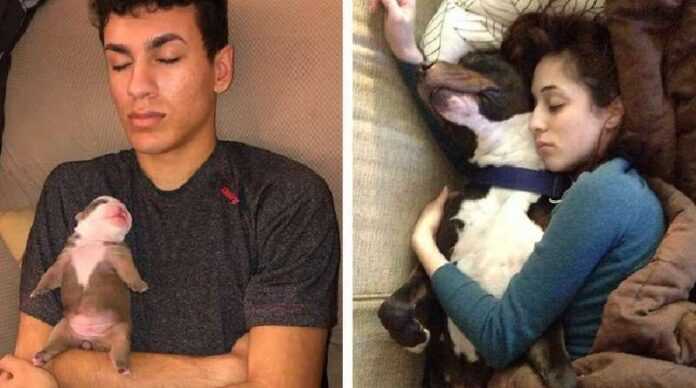 These ten people will gladly serve as a pillow and blanket for their pets.