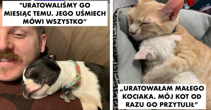 15 pets who have so much love that the whole world could share with them