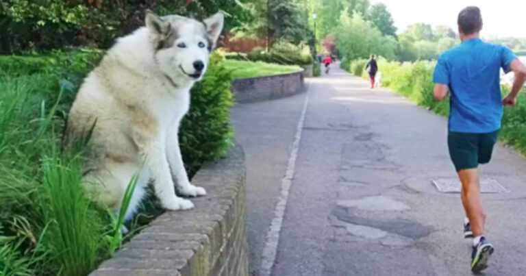 Every day, the older female sits in the same place and waits for petting from people