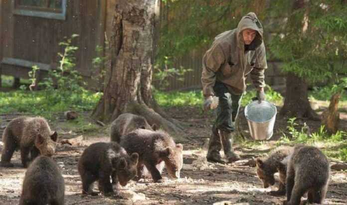 Family rescued over 200 cubs in 20 years