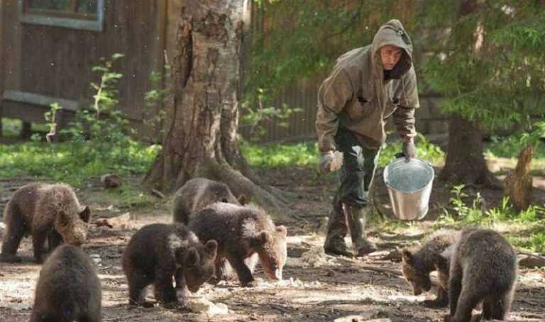 Family rescued over 200 cubs in 20 years