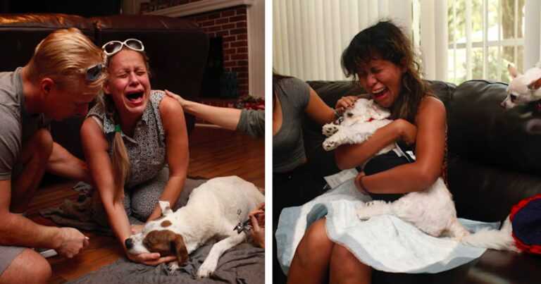 They say goodbye to their beloved pets for the last time. Pictures that break your heart into thousands of pieces