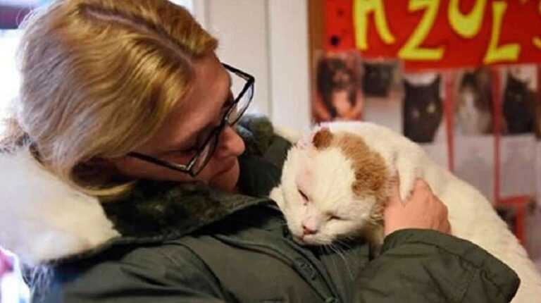 “We will not take anyone,” she told her daughters, entering the shelter, and saw the most unwanted cat