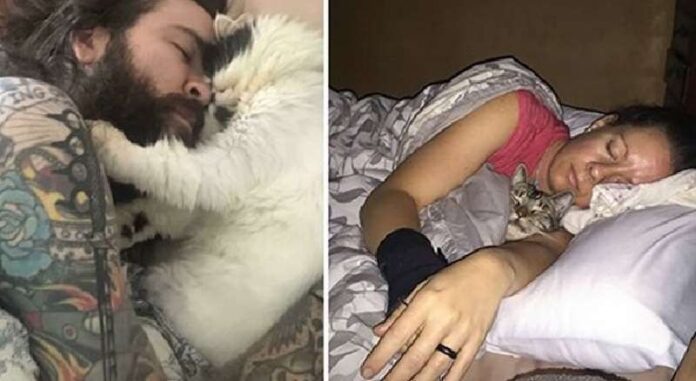 When the cat took his wife away – 15 photos (and also When the dog took the guy away)