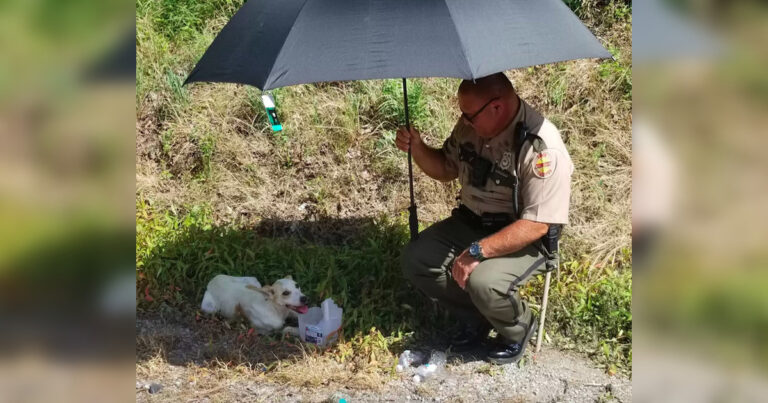 “I was touched to see how this policeman behaved towards a bitch abandoned in the heat”