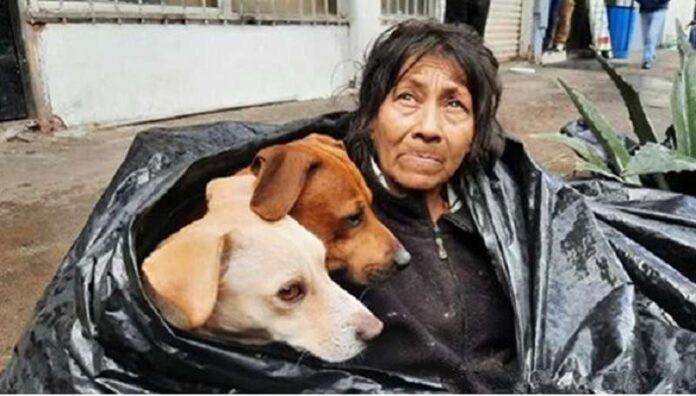 Homeless woman refused to leave the street so as not to leave her dogs