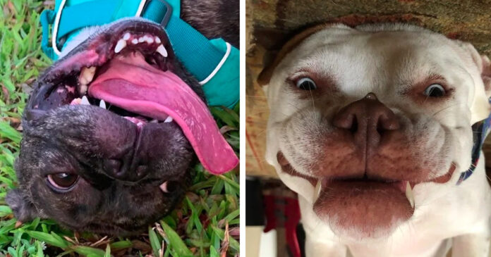 25 happy faces whose world has turned upside down