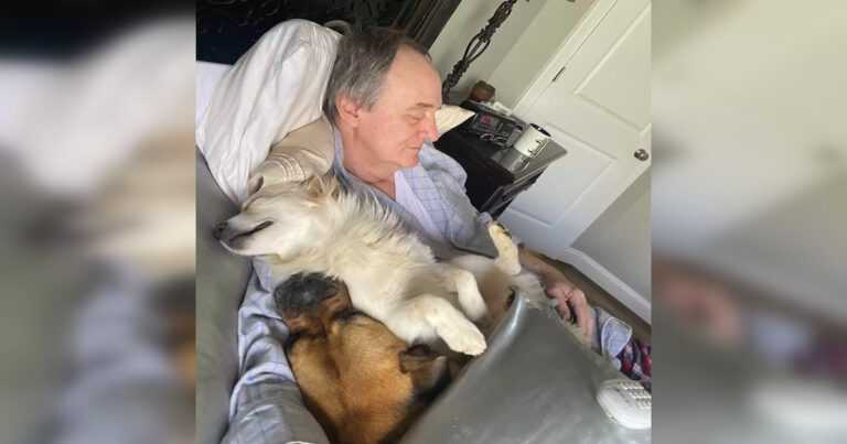 She visited her dad and found him napping with all the dogs in the neighborhood