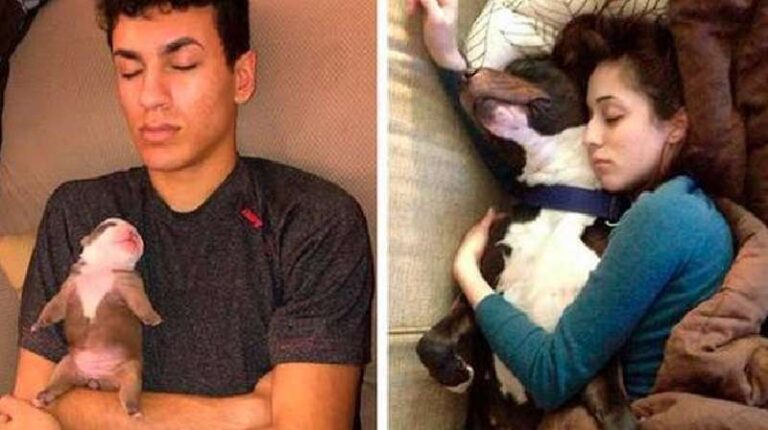 These ten people will gladly serve as a pillow and blanket for their pets.