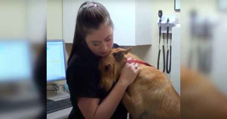 He was saved 5 minutes before he was euthanized. Here is his reaction when he saw that he was safe now