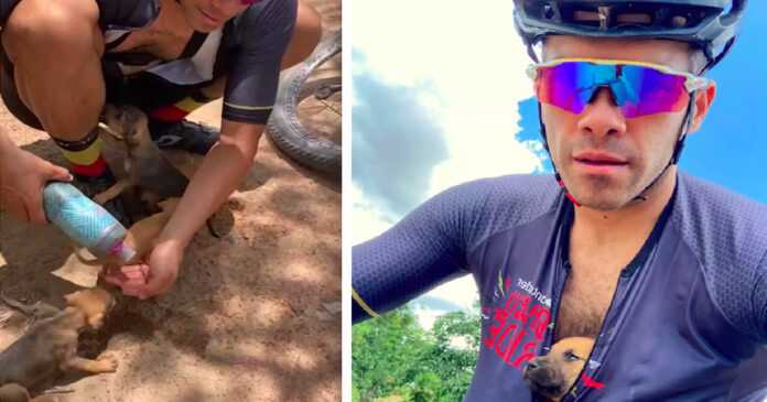 A cyclist finds puppies abandoned in a hole. “Someone dug a hole and left it for death”