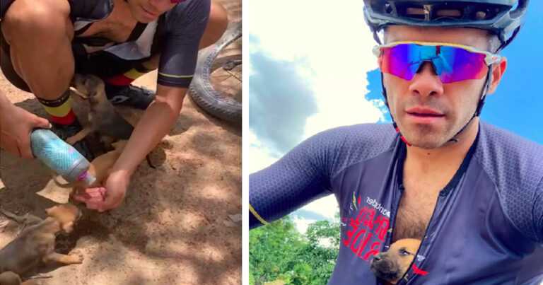 A cyclist finds puppies abandoned in a hole. “Someone dug a hole and left it for death”