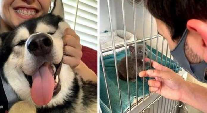 15 Photos of Pets Who Have Found a New Home and Can't Hide Their Happiness
