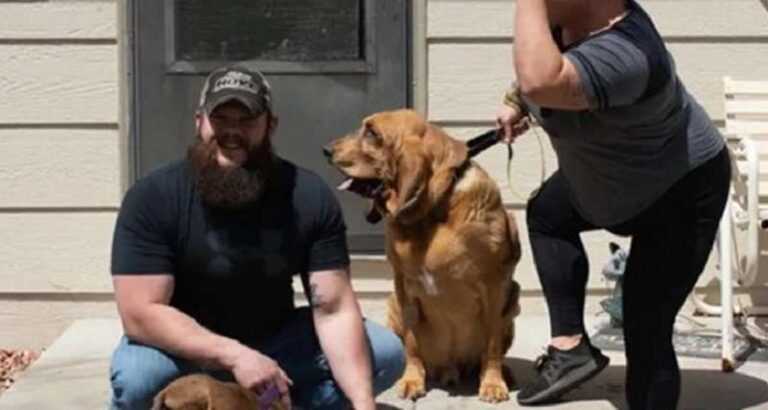 The dog from the shelter never had his own yard, and then the owners decided to please him