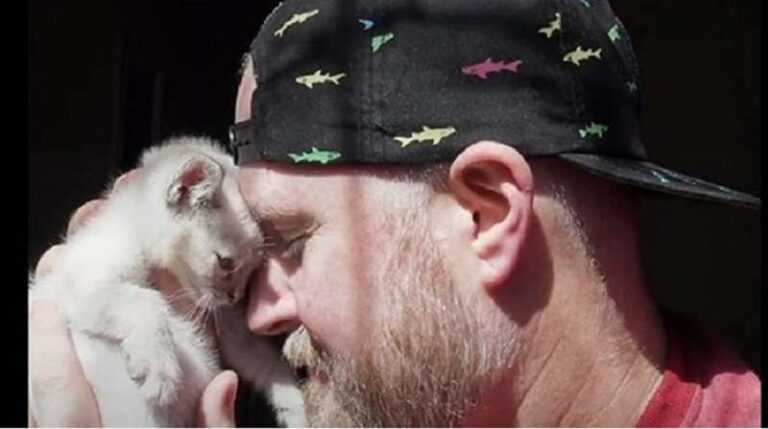 “Just don't cry!” – the man said to the kitten, but naughty tears poured down his cheeks in a hail