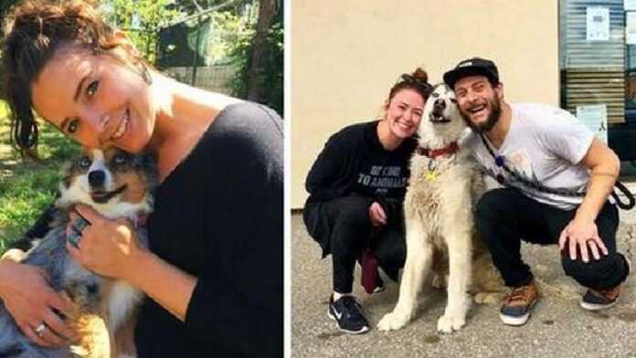 15 dogs that just got adopted from a shelter – and they can't hide their happiness