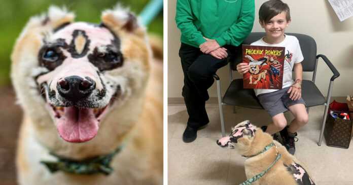 A dog who miraculously survived a house fire now inspires others to never give up