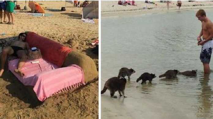15 photos of strange and funny things that people noticed on the beaches