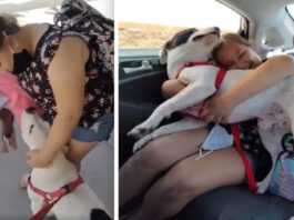 The girl bursts into tears when her mother surprises her with a dream dog from a shelter