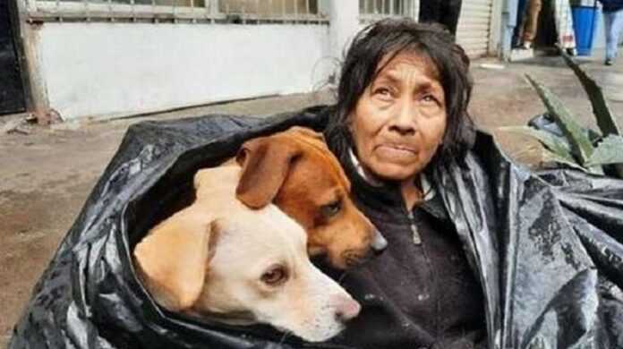 Homeless woman gives her love to four-legged friends
