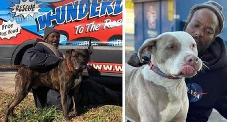 In the United States, an animal shelter caught fire, and a homeless man rushed to help the animals. He saved all the animals and became a hero