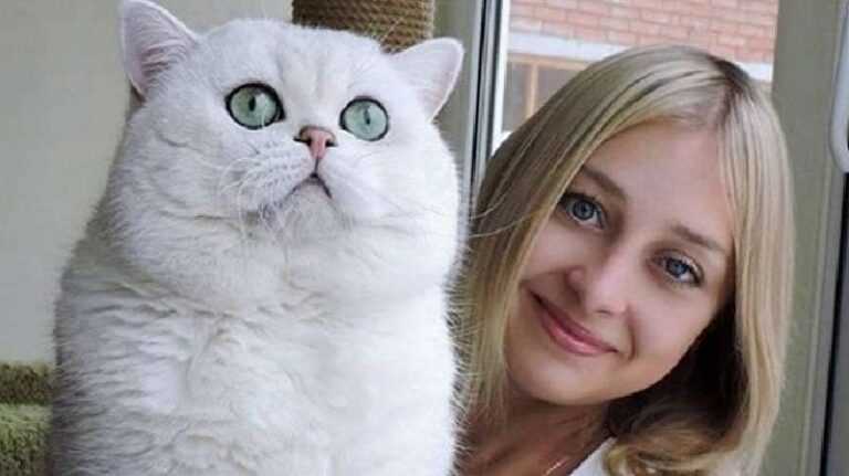 10 Photos of Huge Domestic Cats That Make You Feel Uncomfortable