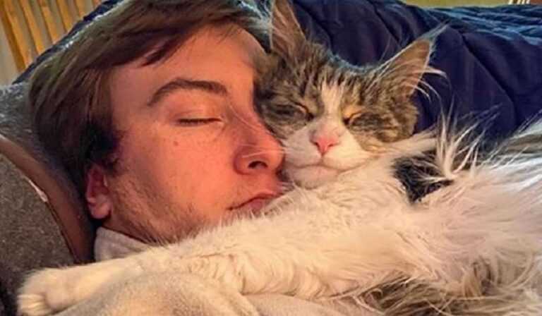 10 people who are so crazy about their pets that they sleep in an embrace with them