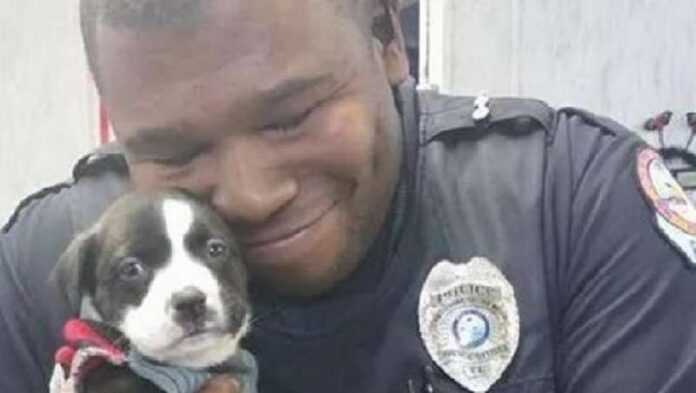 Night call leads cop to tiny puppy
