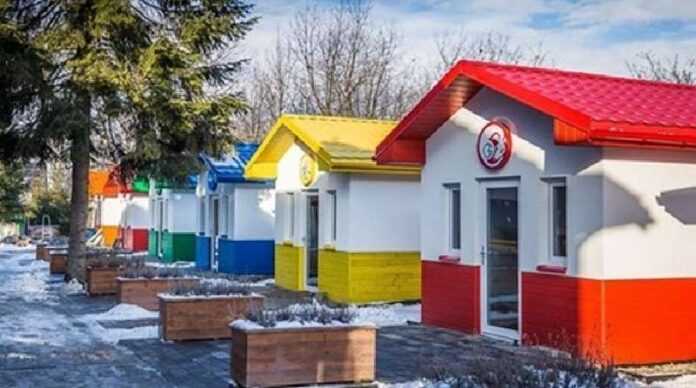 The veterinarian built a whole village for dogs with real houses