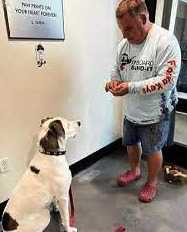 Głuchy pies, porzucony przez rodzinę, zostaje adoptowany przez mężczyznę, który też nie słyszy