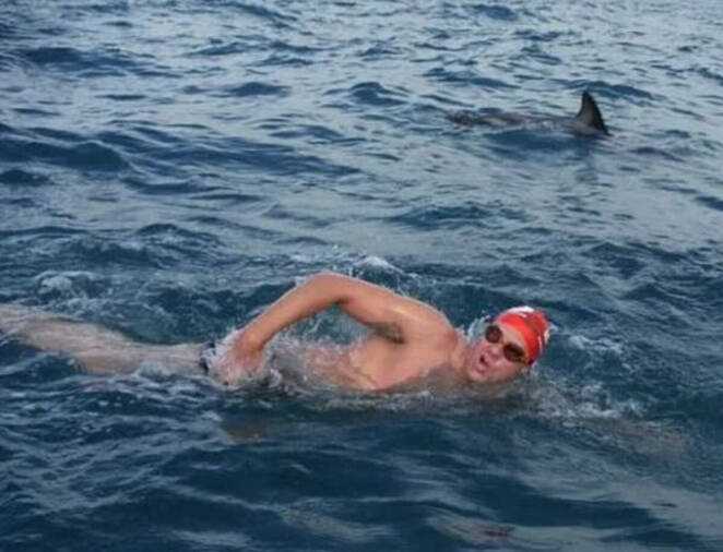Delfiny ratują pływaka przed 2-metrowym rekinem. Utworzyły wokół niego pierścień ochronny