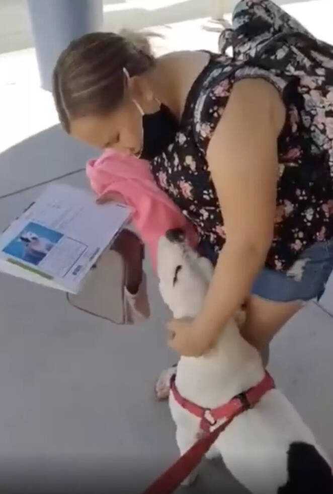 Dziewczynka wybucha łzami, gdy mama zaskakuje ją wymarzonym psem ze schroniska